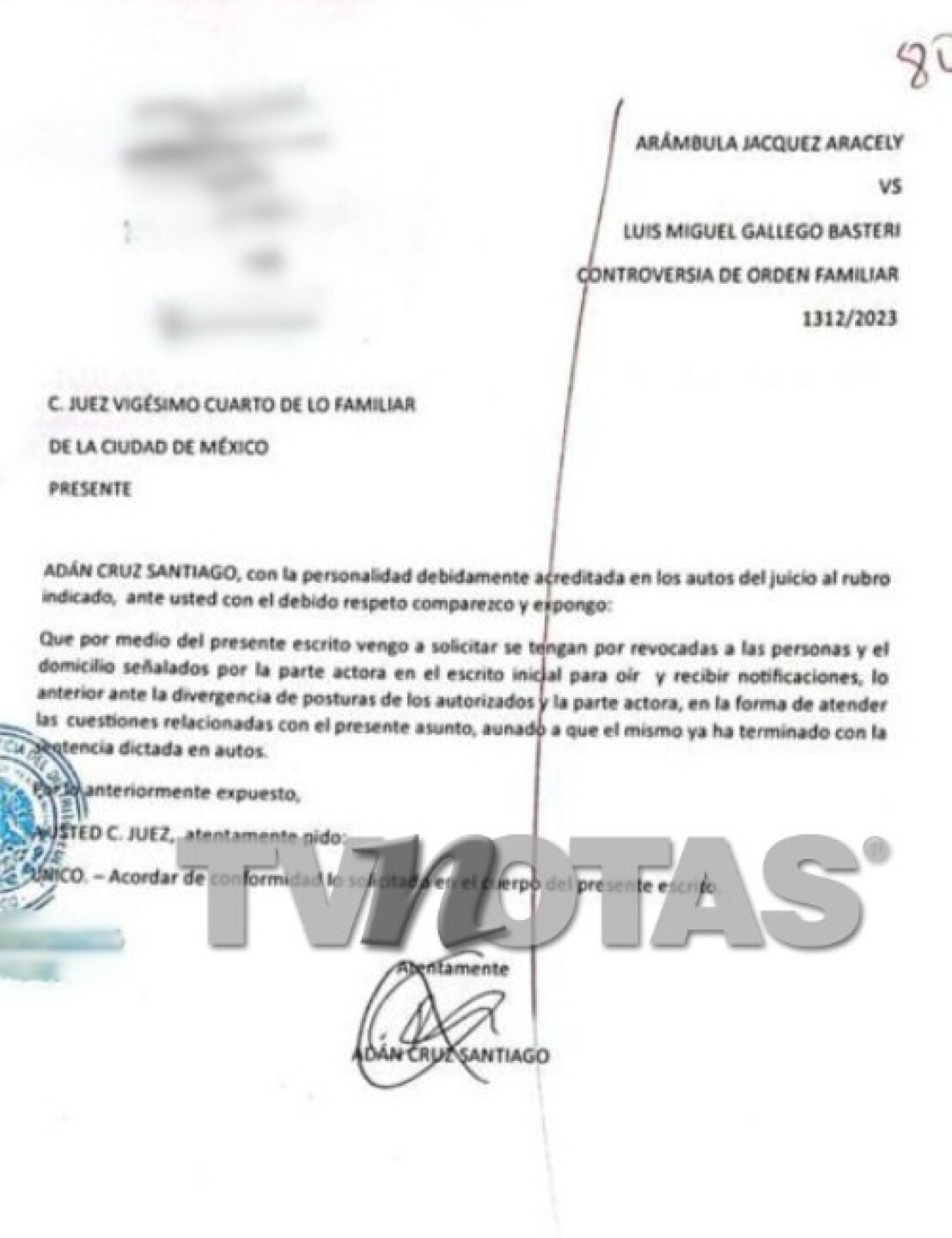 Luis Miguel Aracely Arámbula documento pensión ok blur.jpg