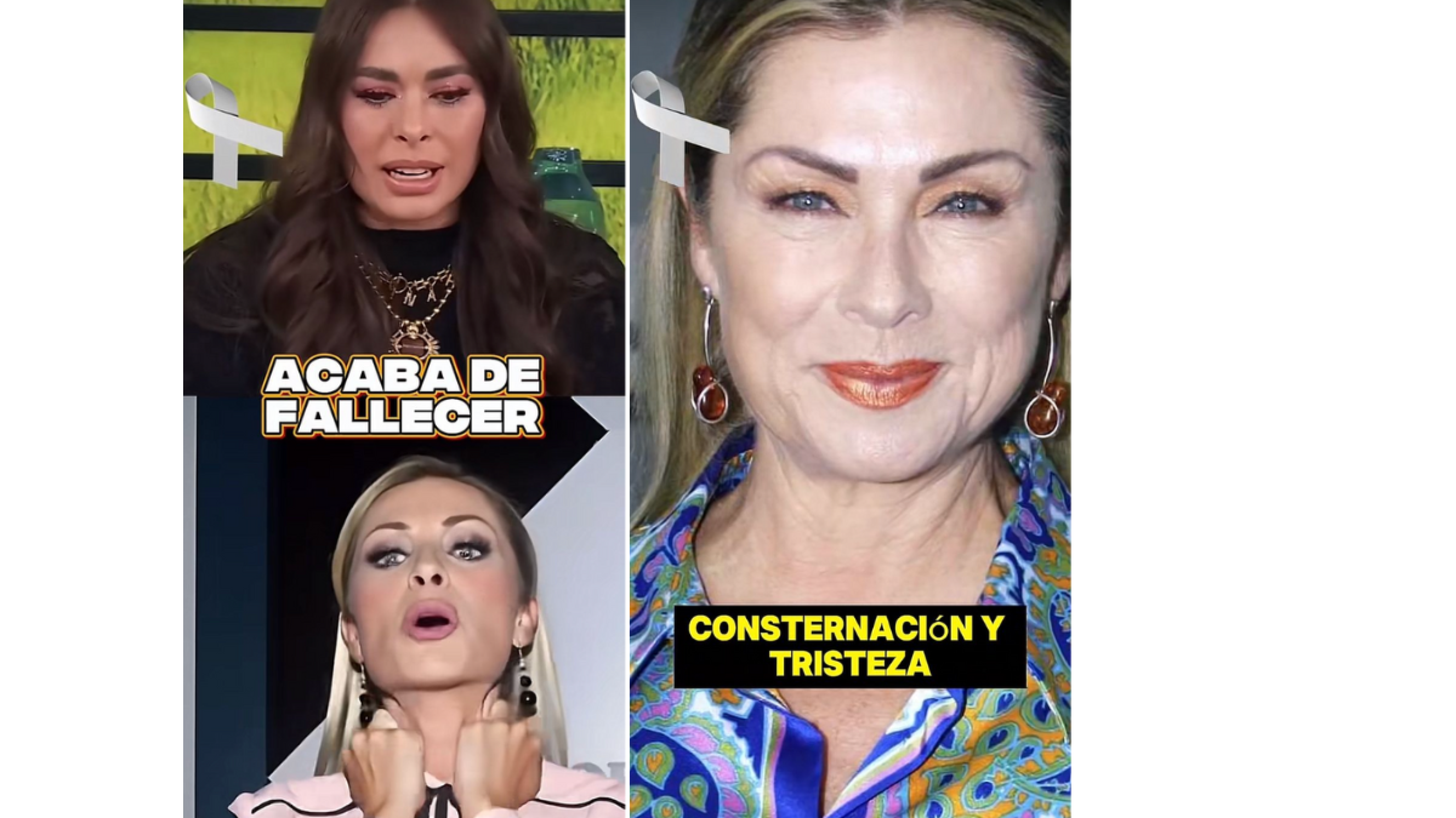Circuló un video falso de la muerte de Leticia Calderón; la actriz y Galilea Montijo desmienten rumores falsos de su deceso
