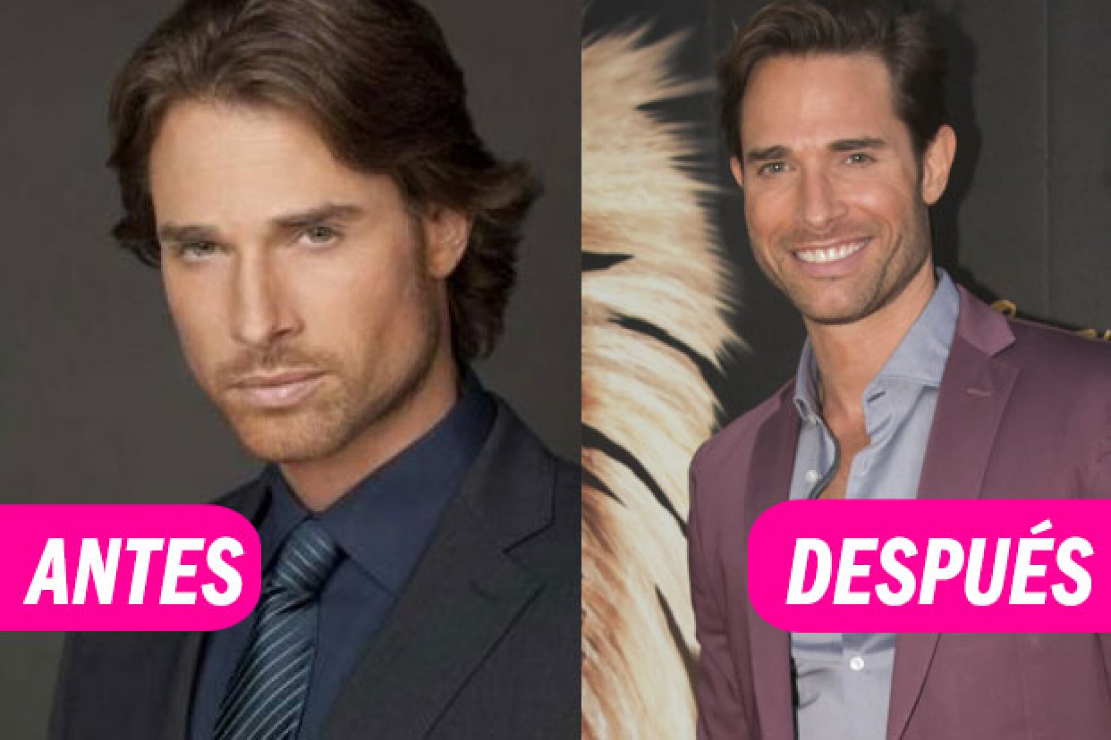 Así luce ahora el elenco de Teresa