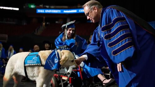 El video fue subido en diferentes redes sociales y se hizo viral