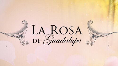 Fallece actor de La rosa de Guadalupe