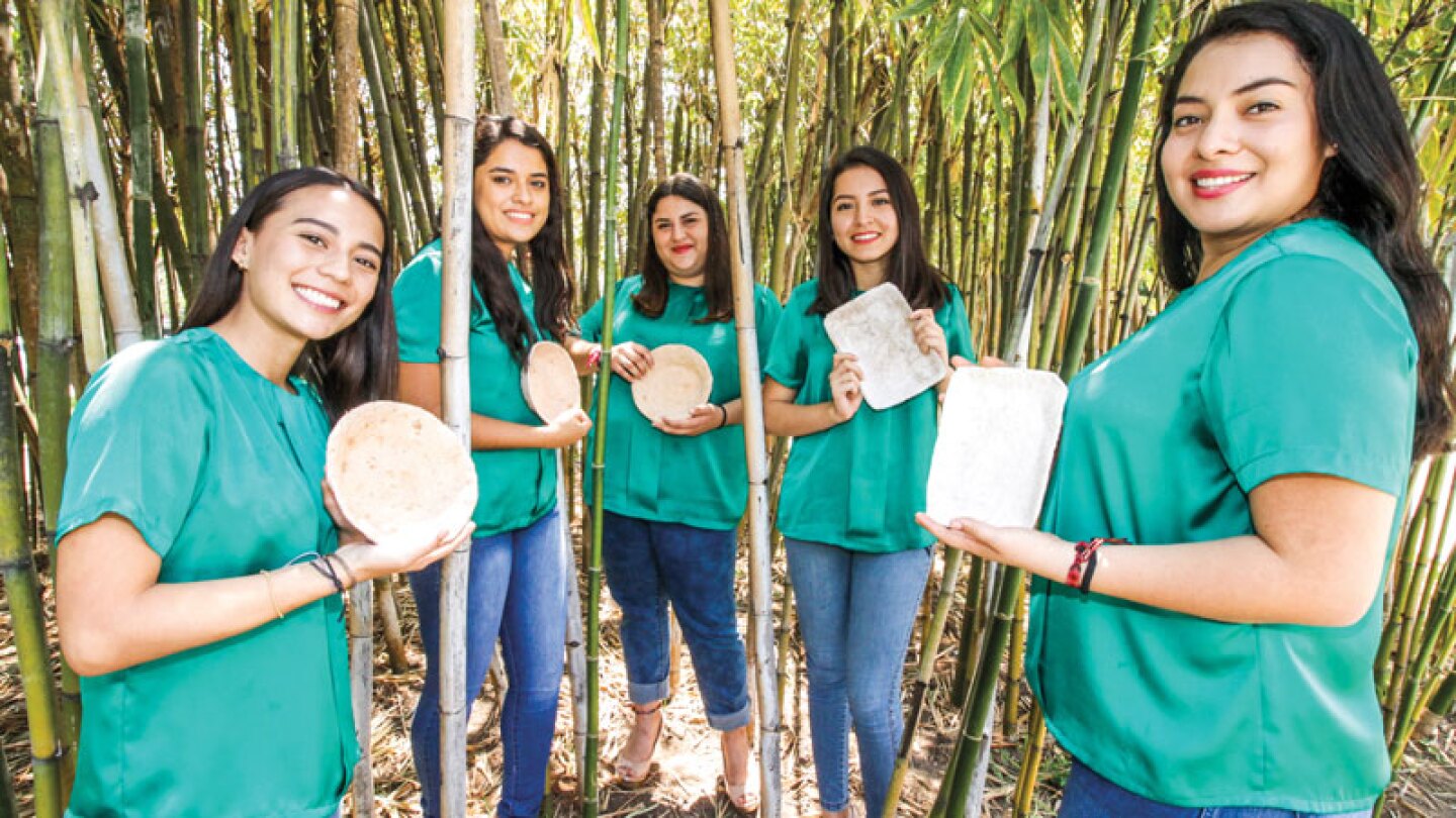 plato biodegradable a base de coco