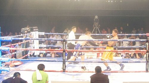 Las muestras de cariño no se han hecho esperar en redes sociales.