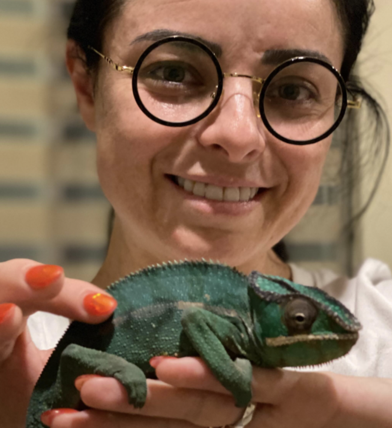 Violeta Isfel y su mascota Aslan camaleón fallece