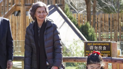 Aunque ante la opinión pública han intentado dar una imagen de armonía, parece bastante ficticia, pues no es la primera vez que se ve un momento tenso entre Sofía y Letizia