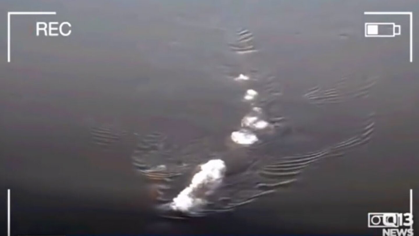 Extraña criatura en río de Alaska.