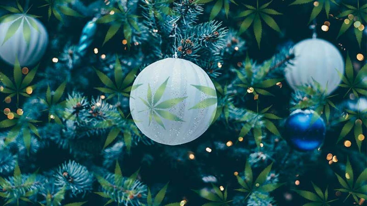 Joven le da gomitas con cannabis a su familia