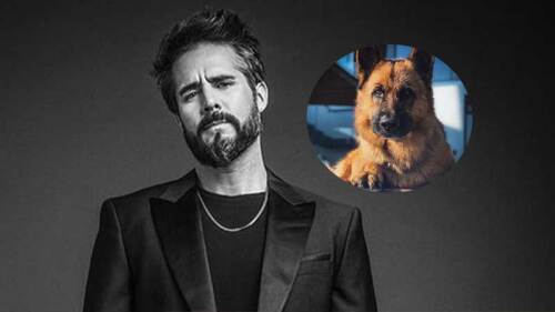 José Ron tiene tres perros