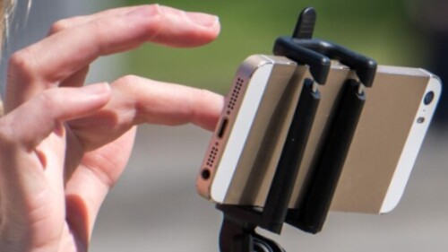 Bailey Hutchins fallece