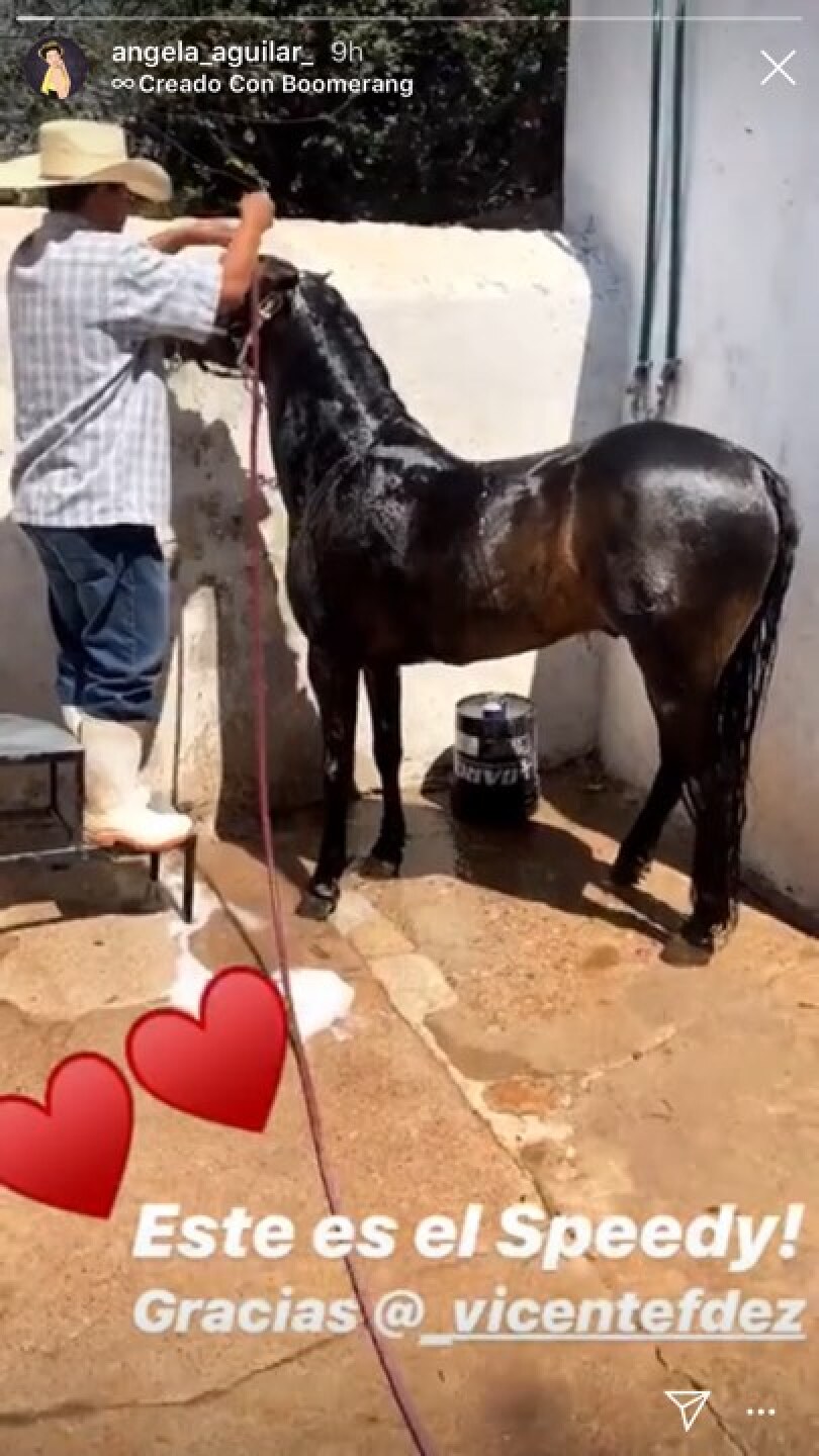 A pesar de que Vicente Fernández le dio un caballo, la hija de Pepe Aguilar contestó esto.