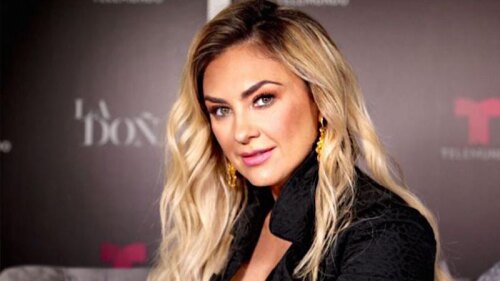 Aracely Arámbula está de luto