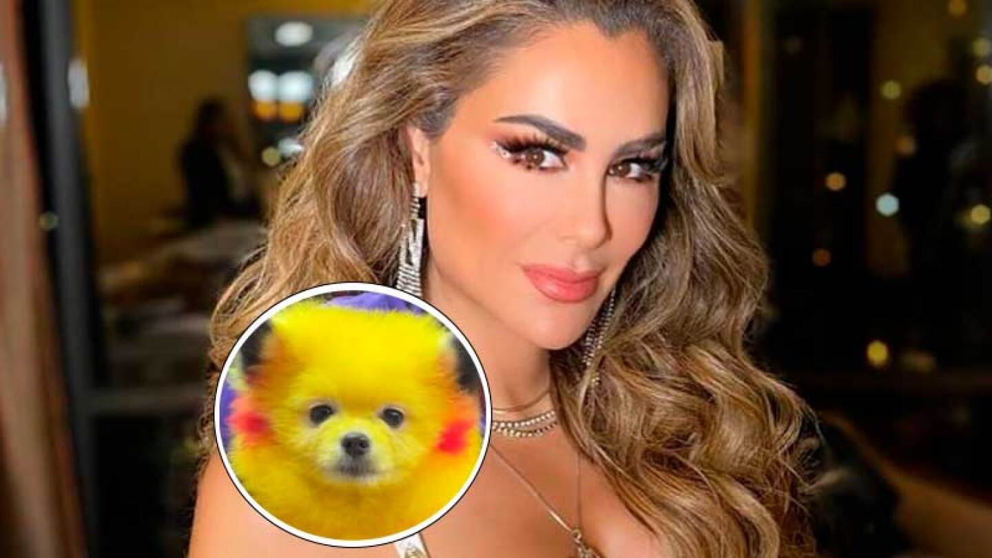 Tunden en redes sociales a Ninel Conde por mostrar a un perro teñido como pikachu