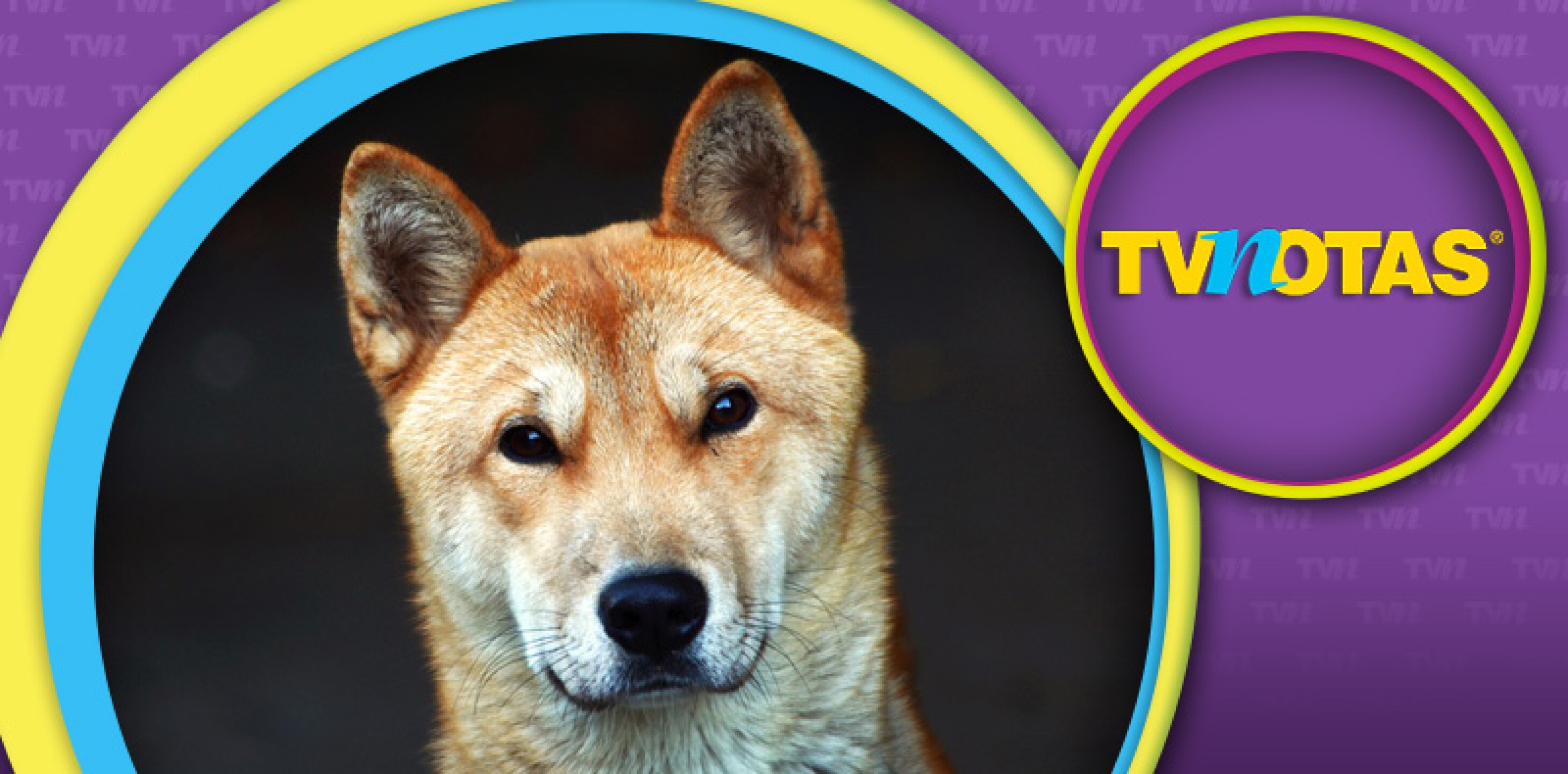 Quedan varados en la gran ciudad.