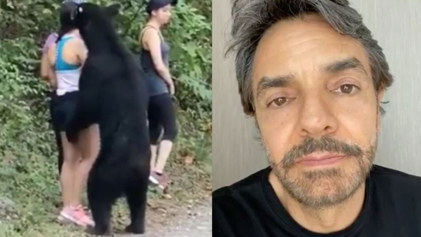 Eugenio Derbez pide salvar a oso de Chipinque.