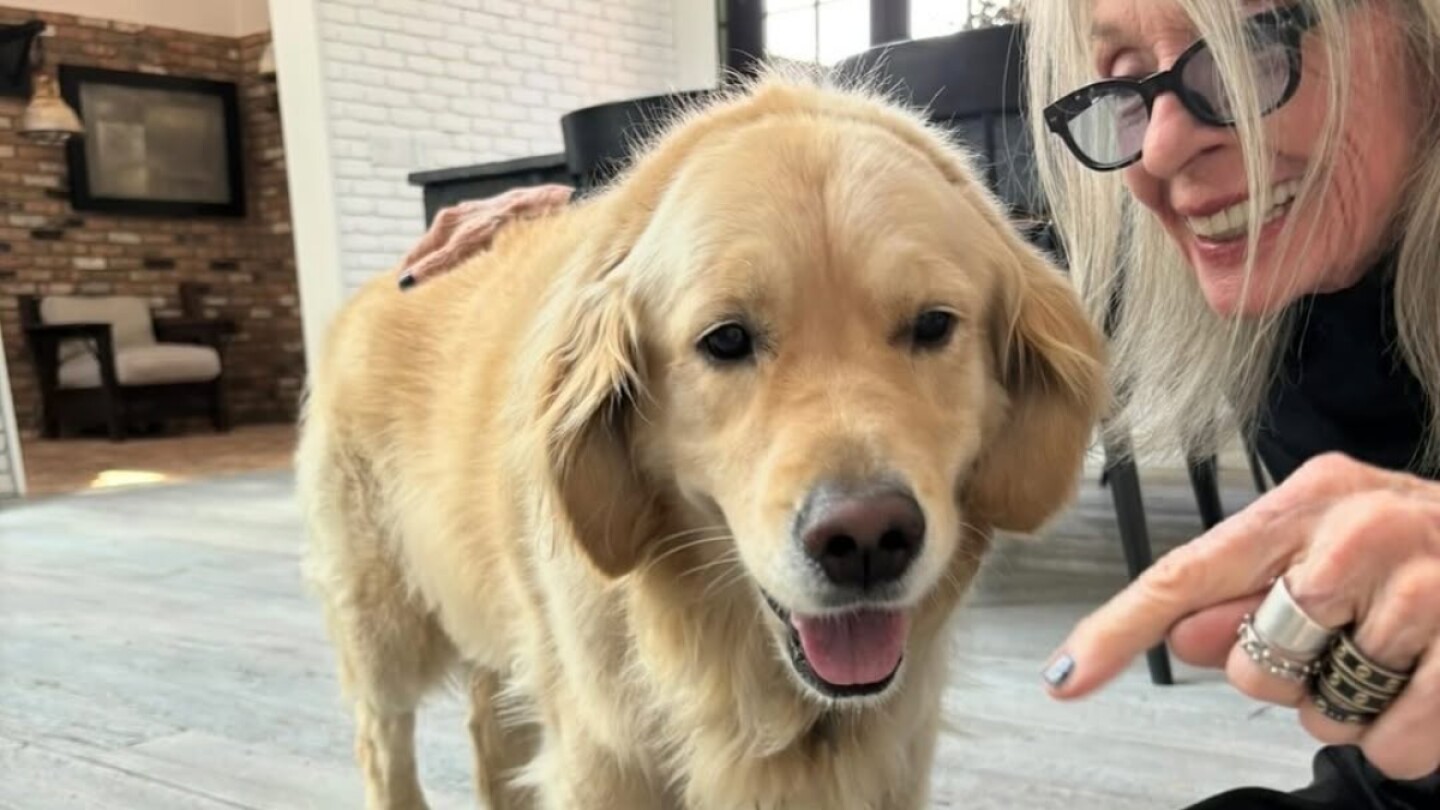 diane-keaton-perro.jpg