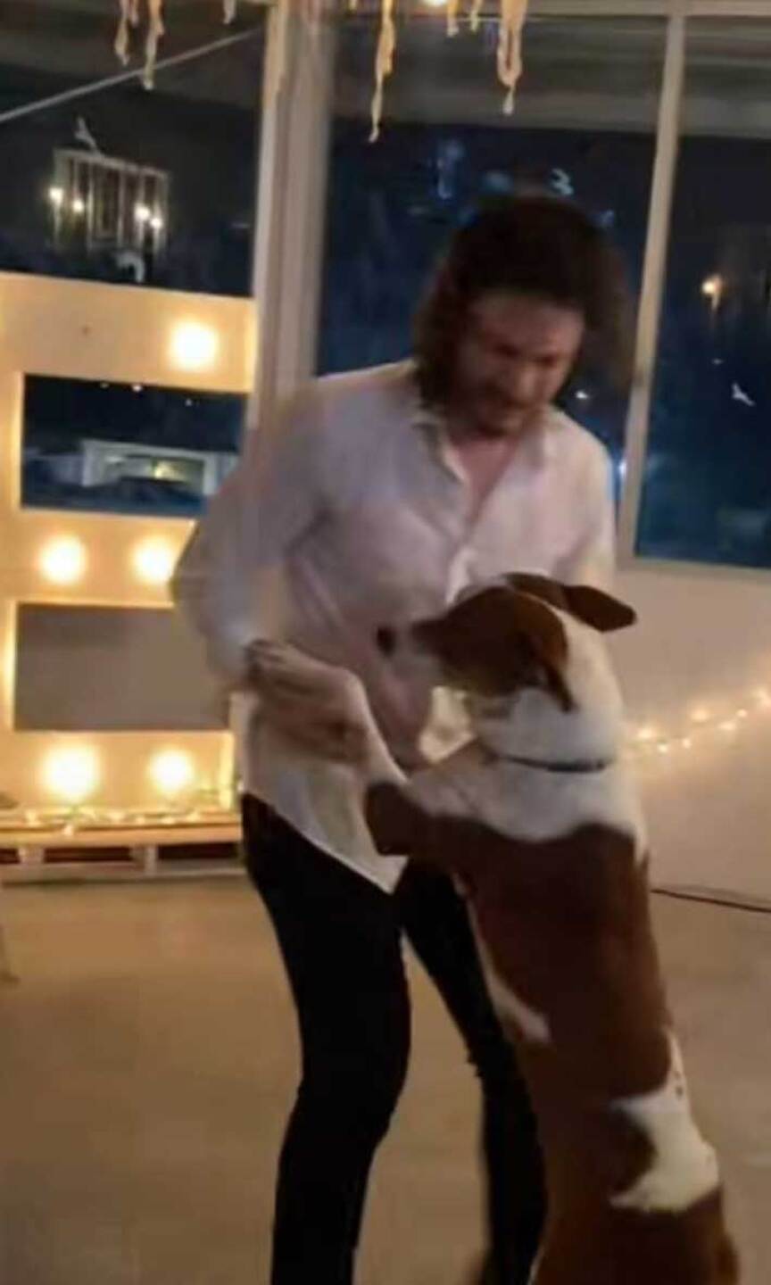 Perrito se hace viral en Tik Tok.