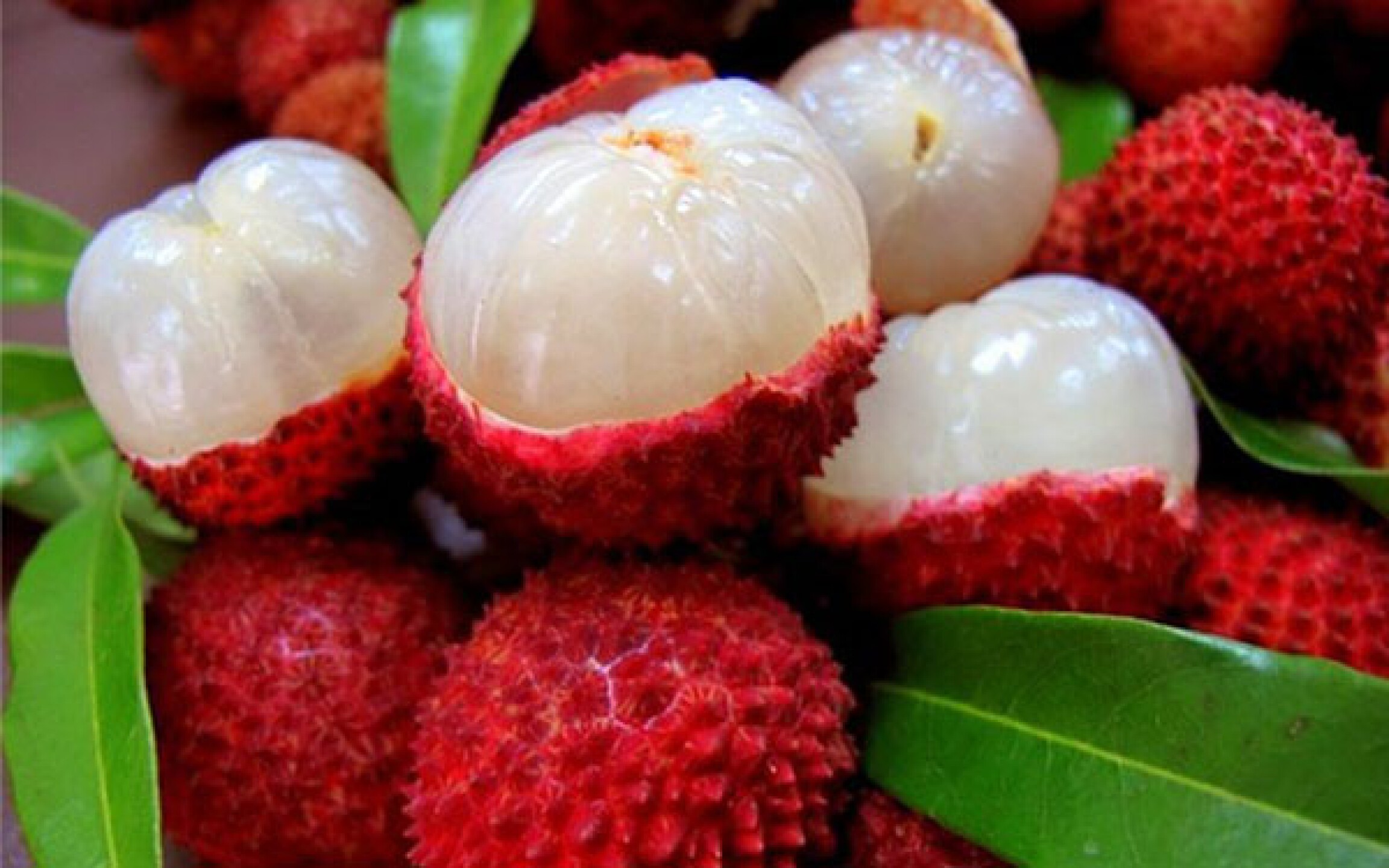 litchi.jpg