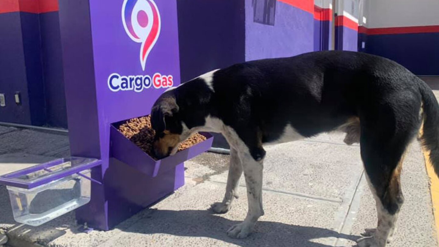 gasolineria perros