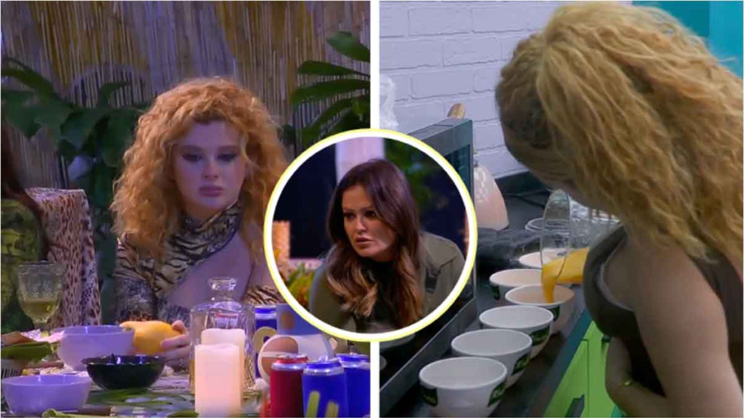 Brigate Bozzo  mango