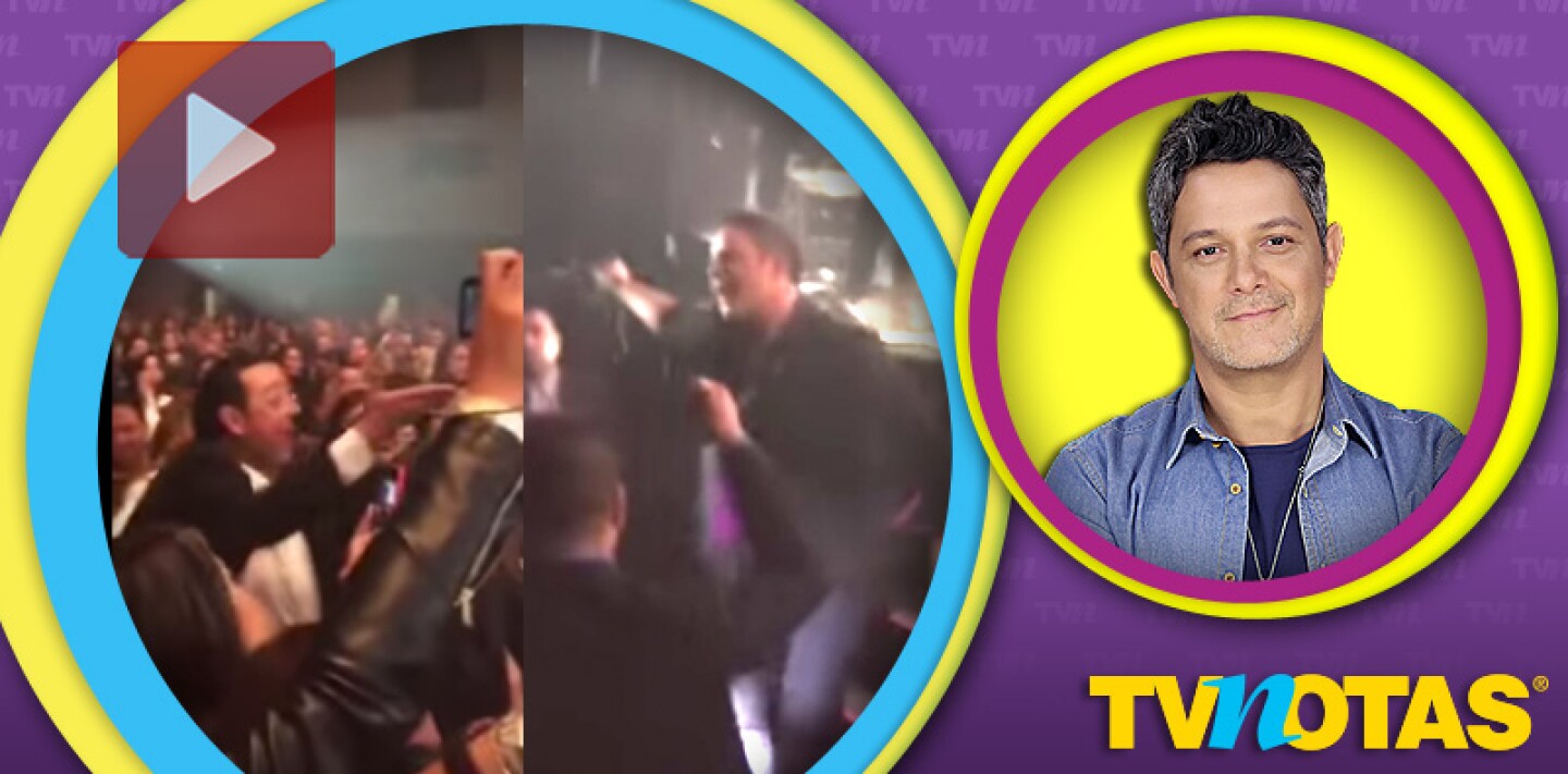 Alejandro Sanz corrió a un agresor de su concierto.