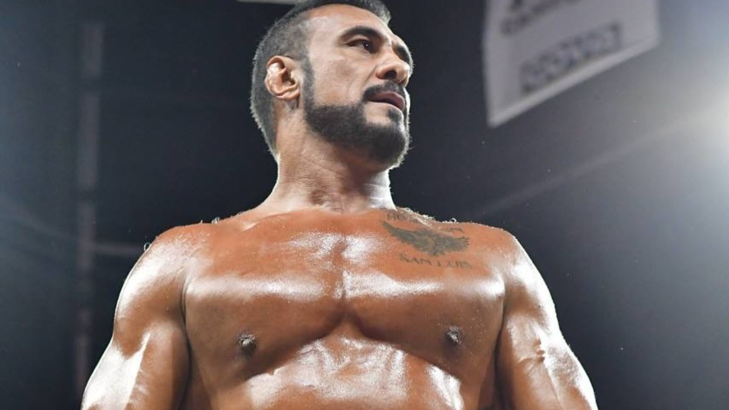 alberto-del-rio (2).jpg