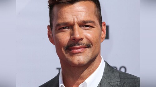 Bioserie de Ricky Martin