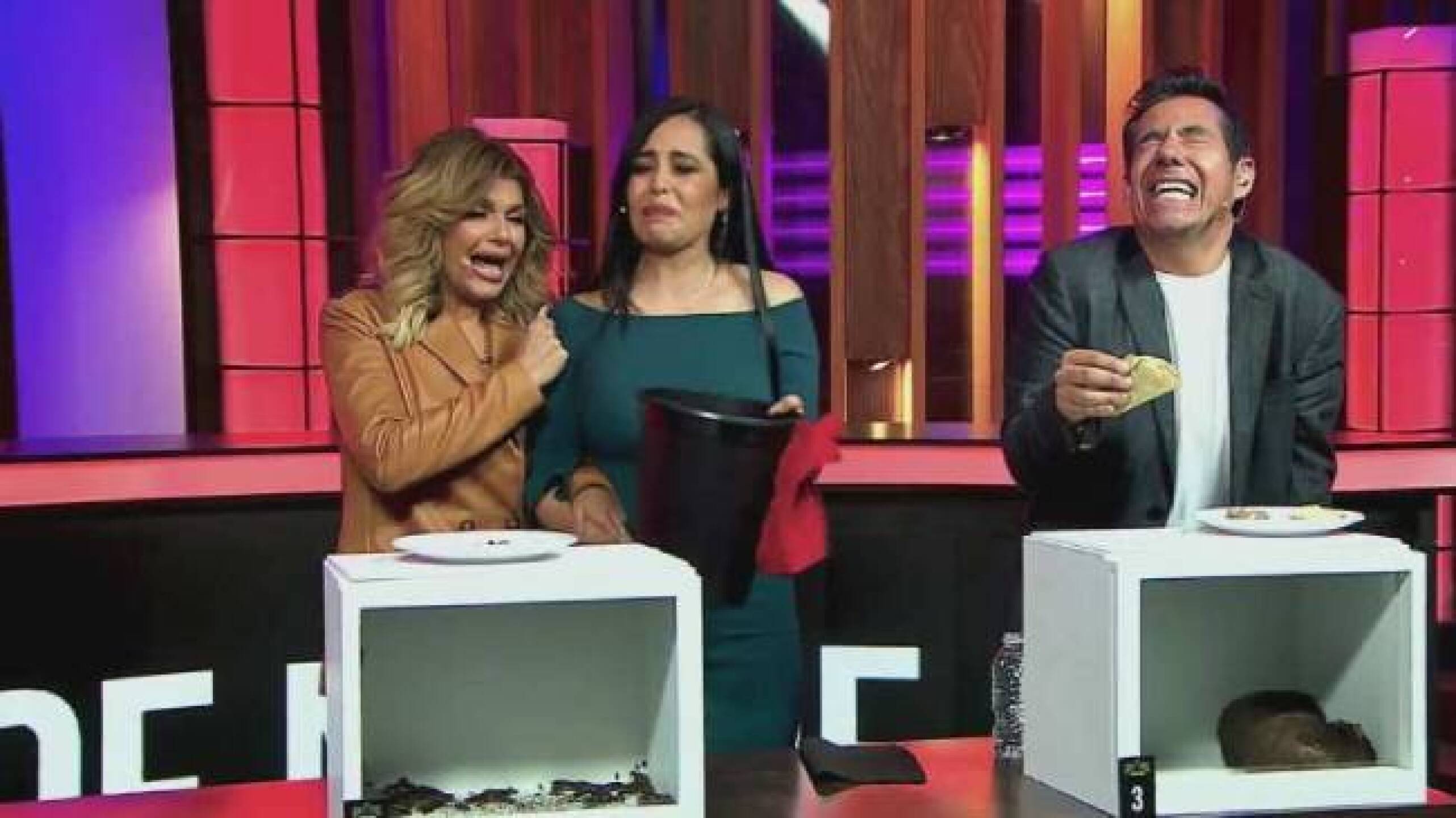 Programa Yordi Rosado