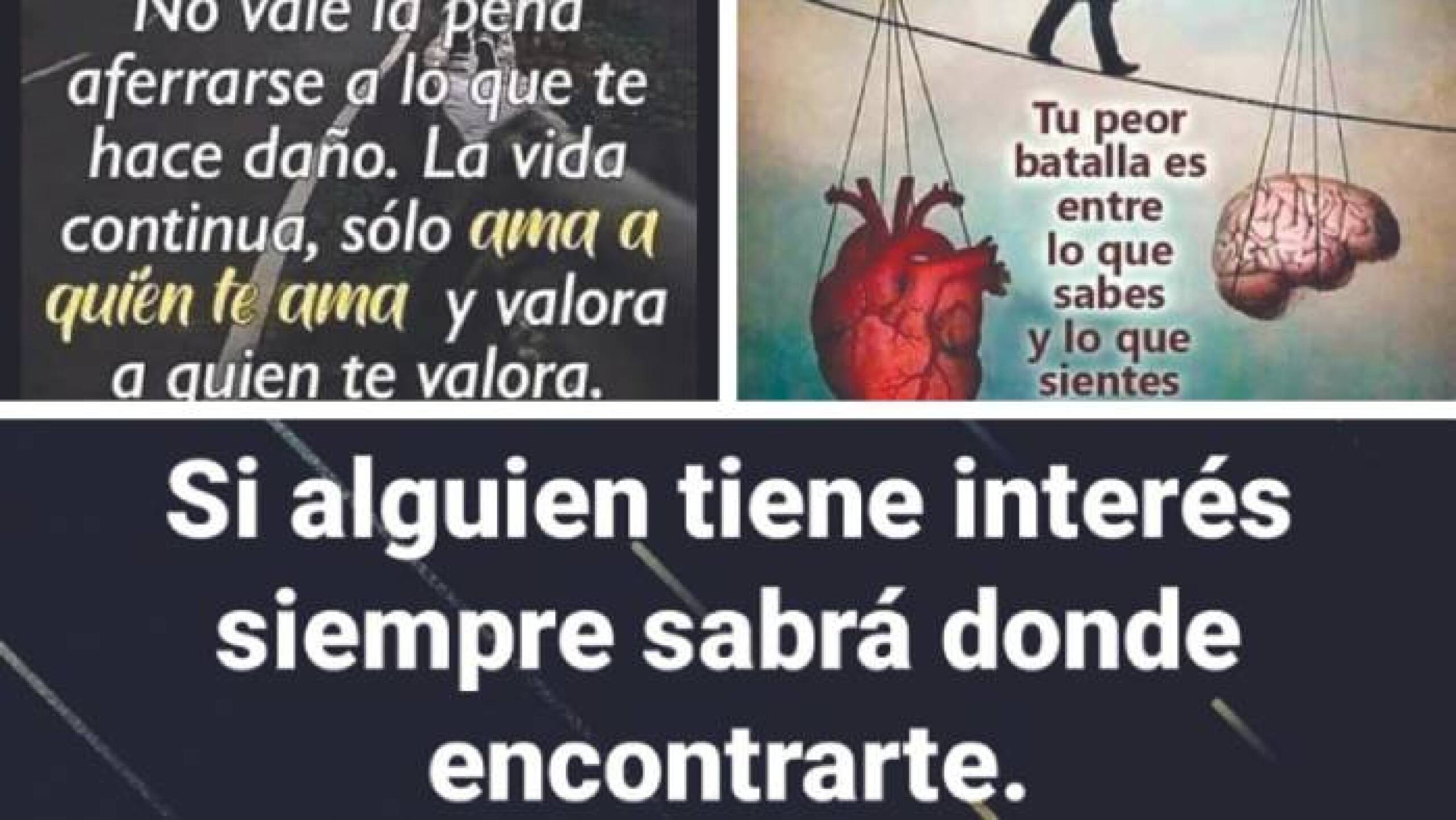 Todas ellas manifestaban su “dolencia” por alguien de quien se apartó, pero que a la vez por quien aún siente algo, porque su cerebro lucha aún contra su corazón.