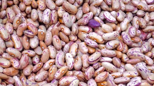 La mujer no tuvo más que pedir disculpas