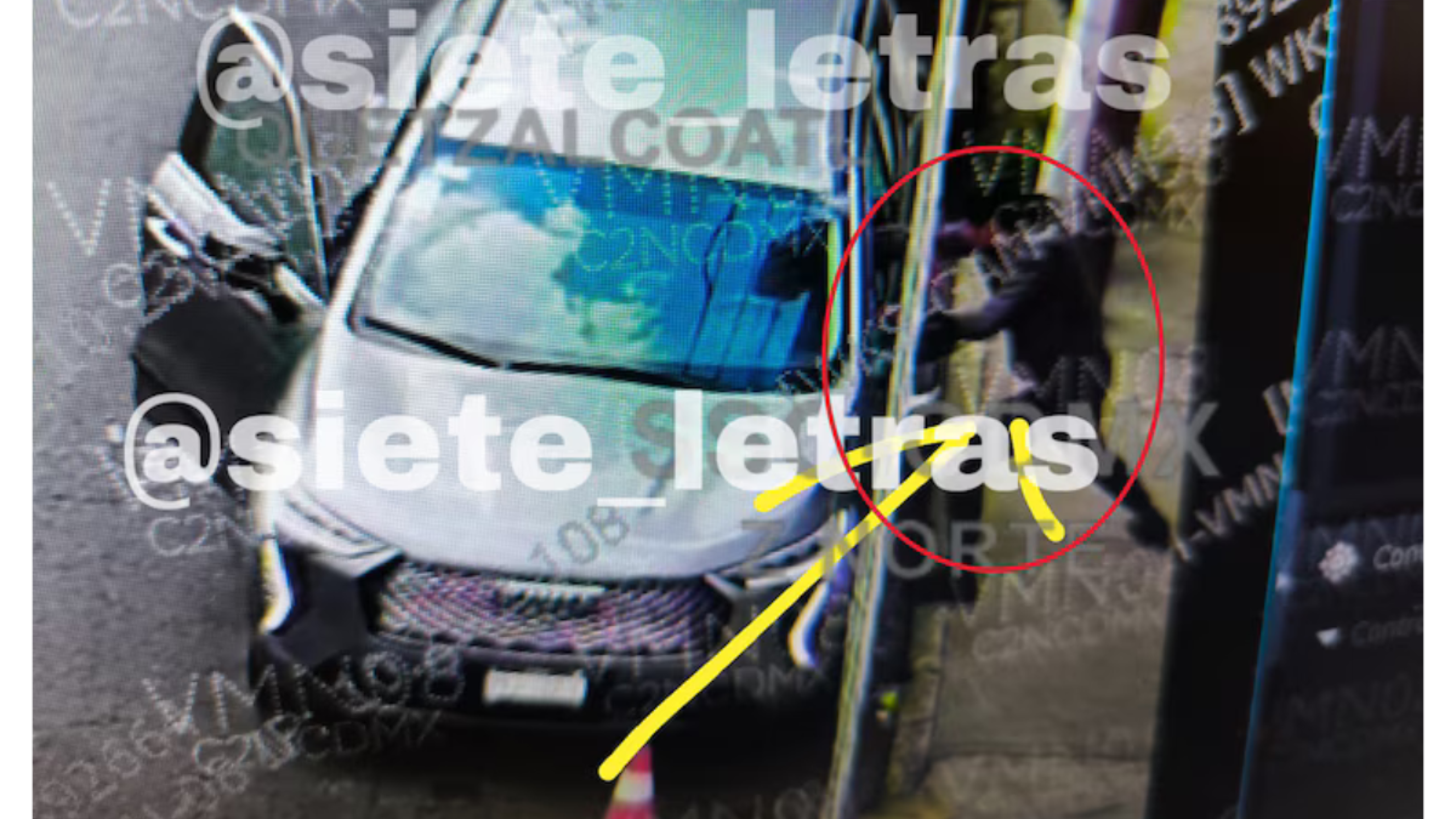 Balean al conductor de Sarah Bustani