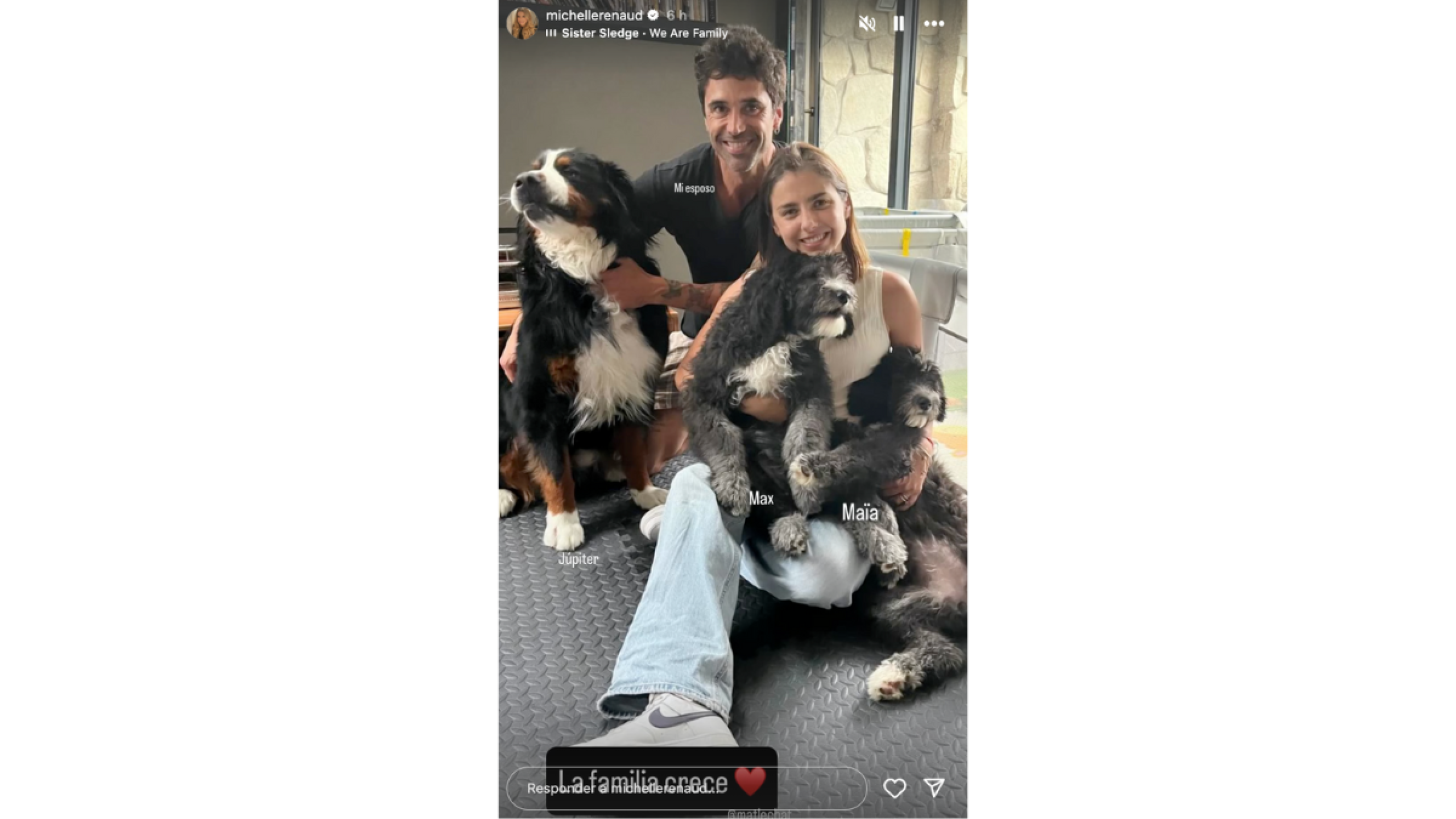 Michelle Renaud y Matías Novoa agrandan la familia