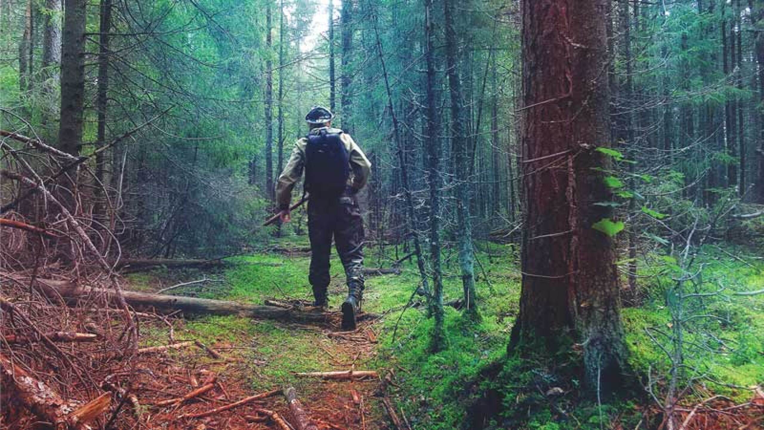 En medio de un bosque