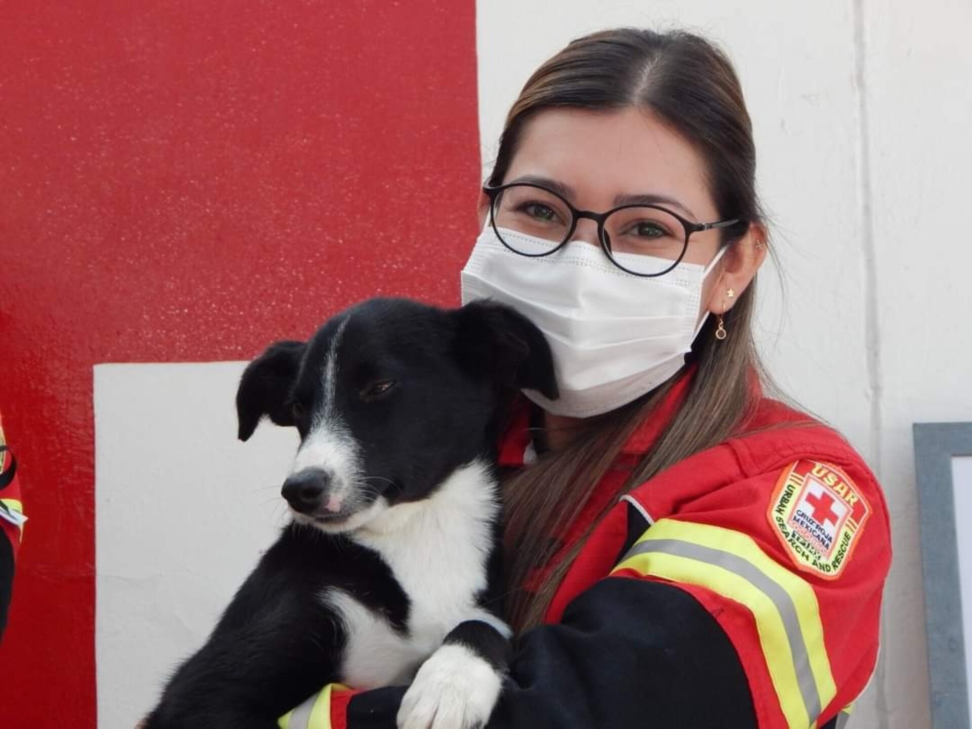 Cruz Roja Mexicana adopción cachorros rescatistas