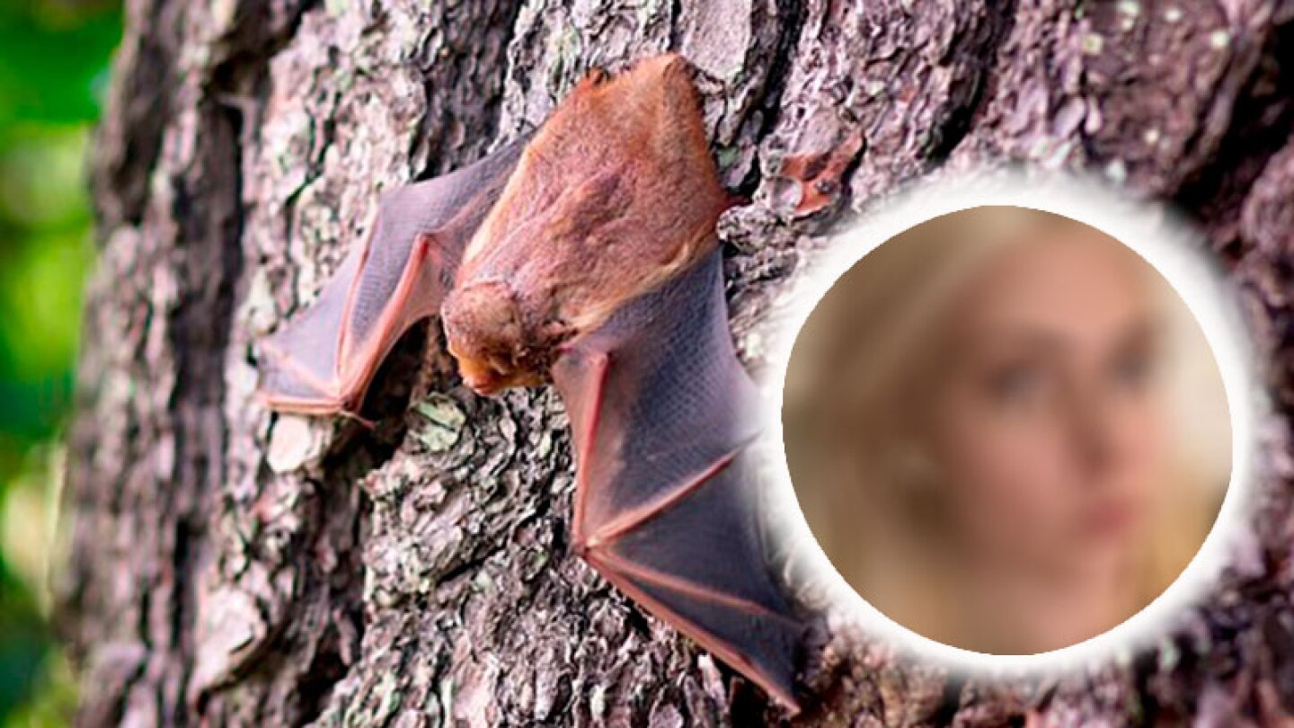 Murciélago muerde a famosa cantante