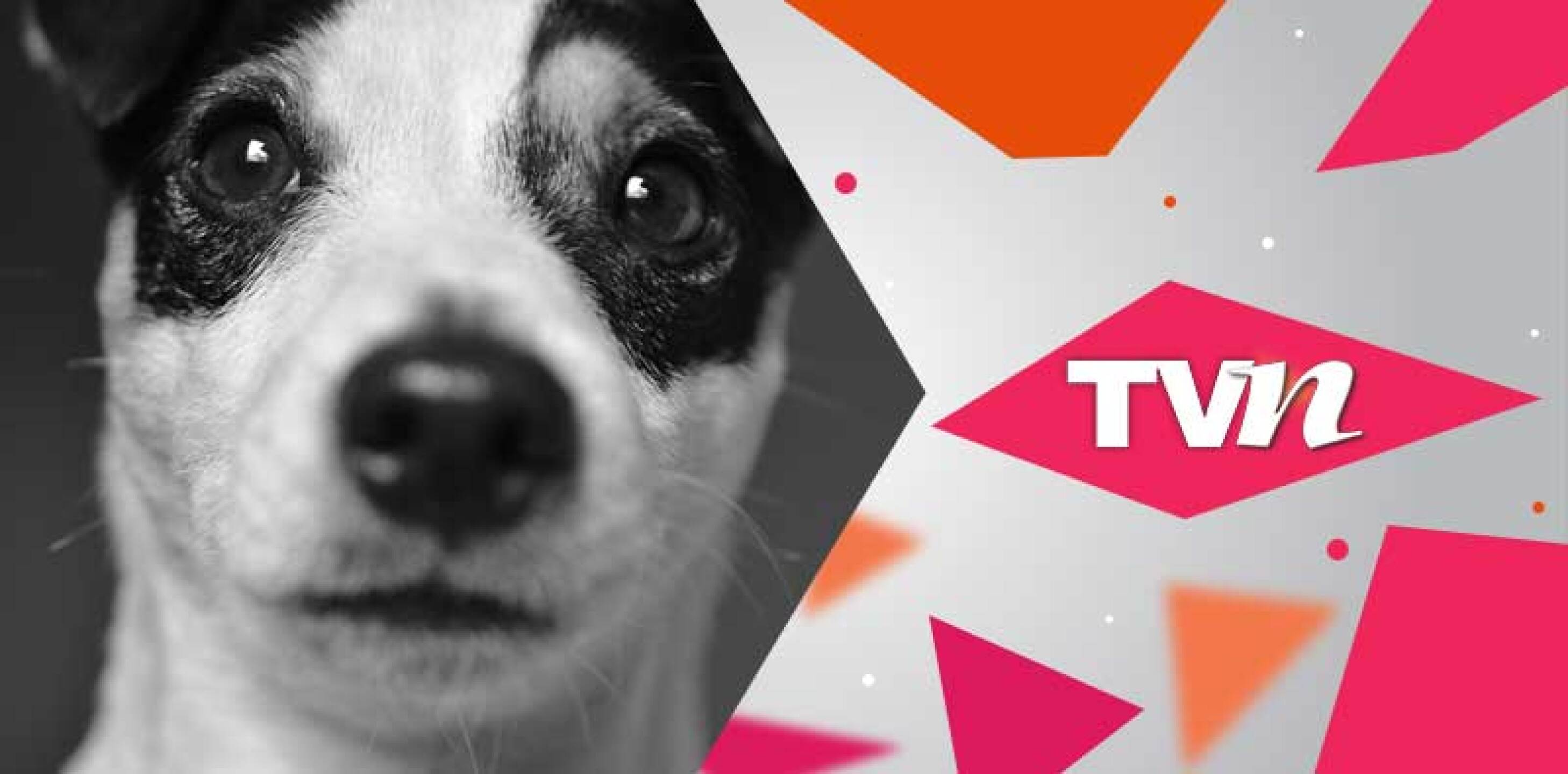 A continuación el video del momento exacto en que los salvan, estaban en condiciones lamentables.