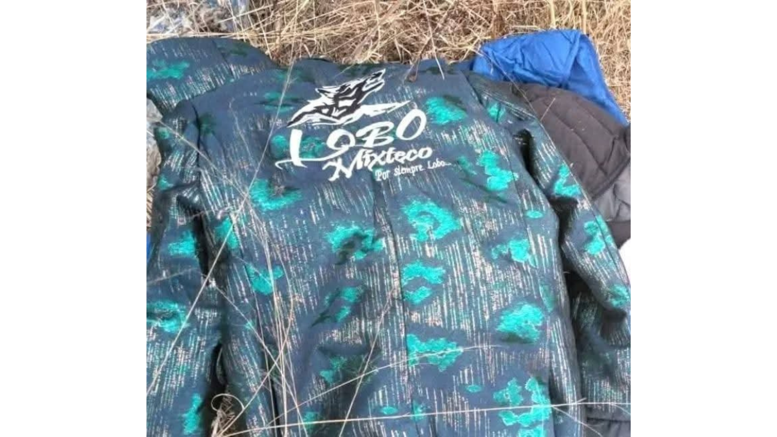 Muere Donato Hernández, vocalista de Lobo Mixteco