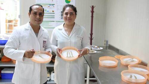 Los investigadores del Politécnico quieren ayudar a la nutrición mundial.