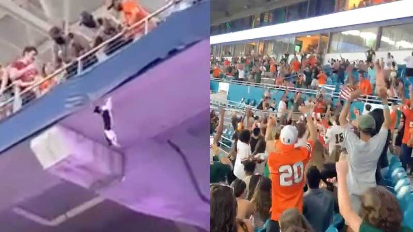 El gatito salió ileso de la caida