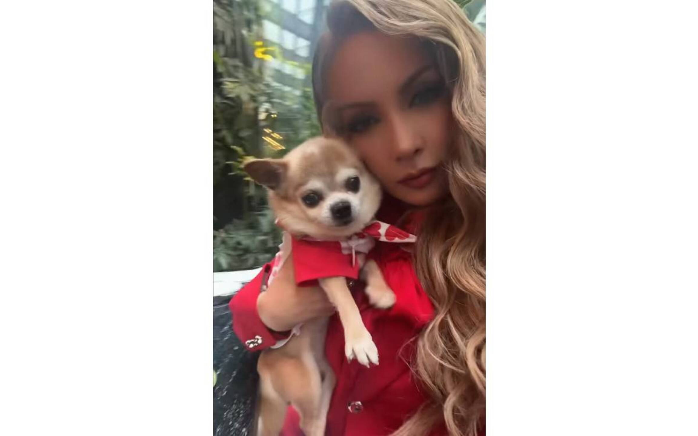 Paty Navidad