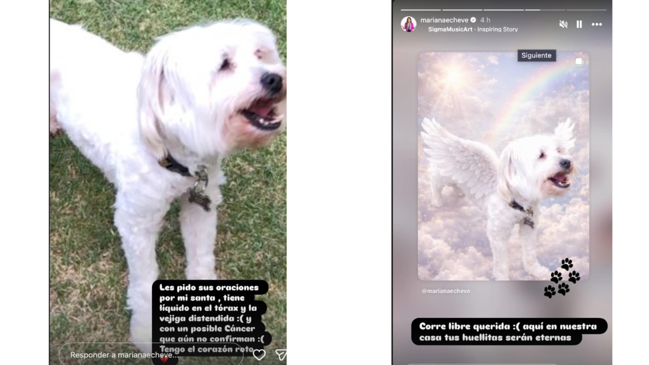 Mariana Echeverría y la pérdida de su hija de 11 años Mariana Echeverría