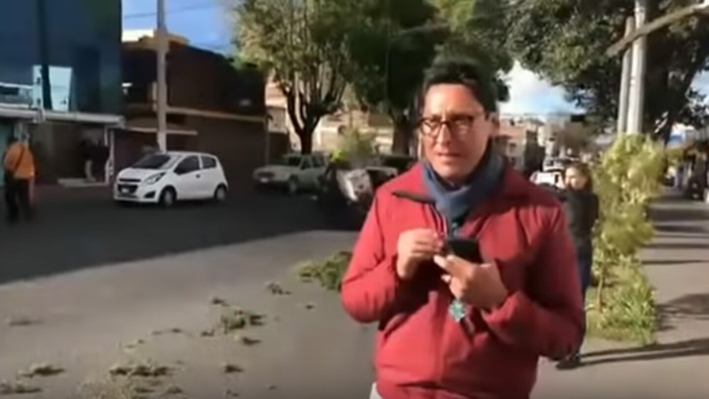 Reportero transmite caída de árbol sobre auto, pero ¡era el suyo!