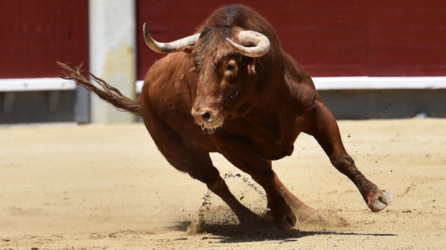 Suspende las corridas de toros