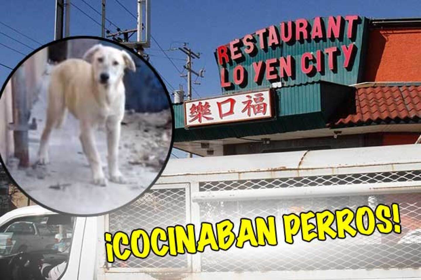 Restaurante chinos buscan dejar su mala imagen.