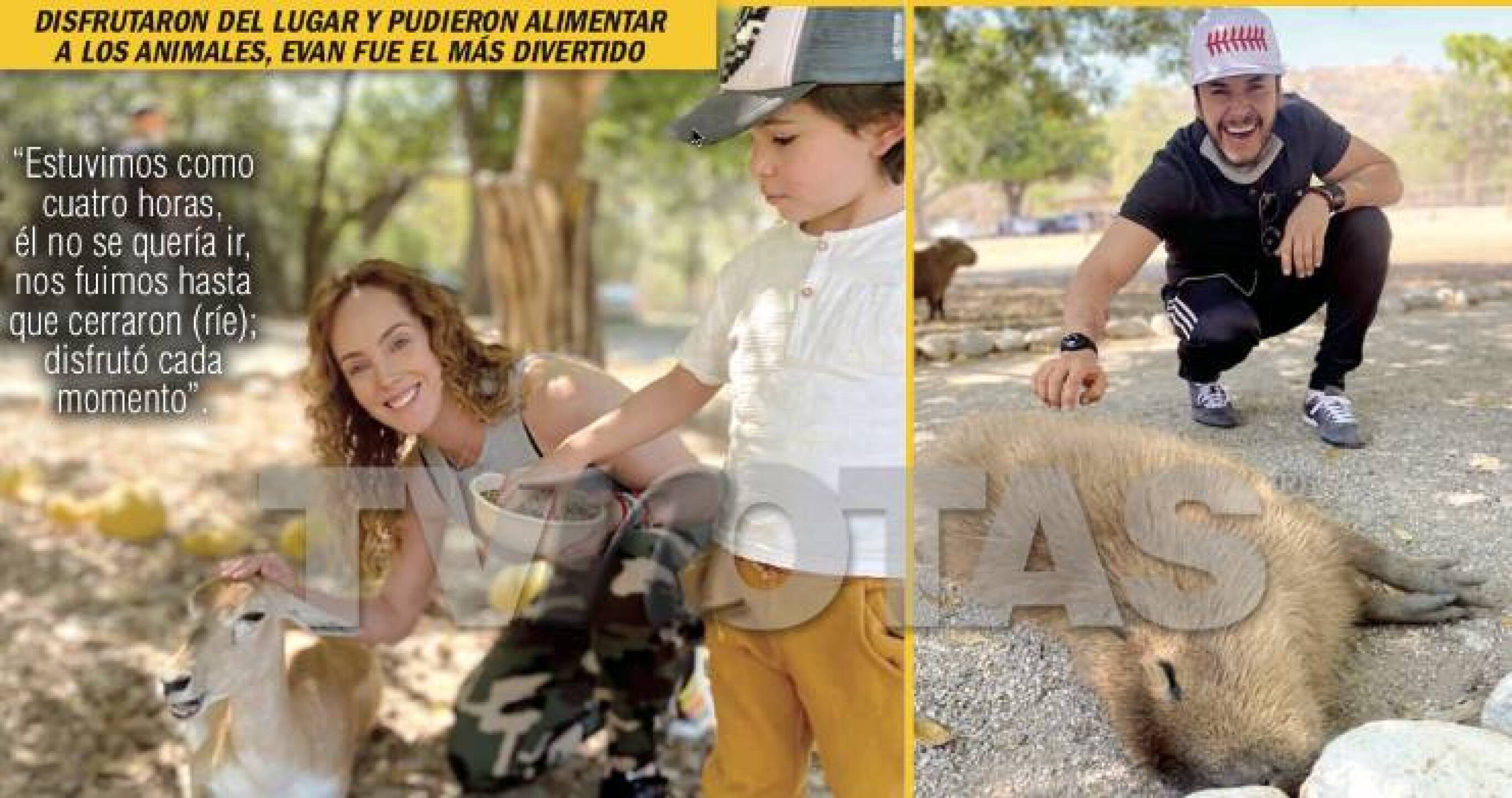 Raúl Sandoval paseo