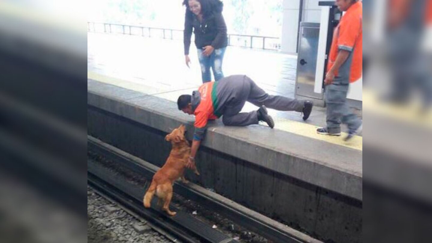 Usuarios de redes condenan a los desalmados trabajadores.
