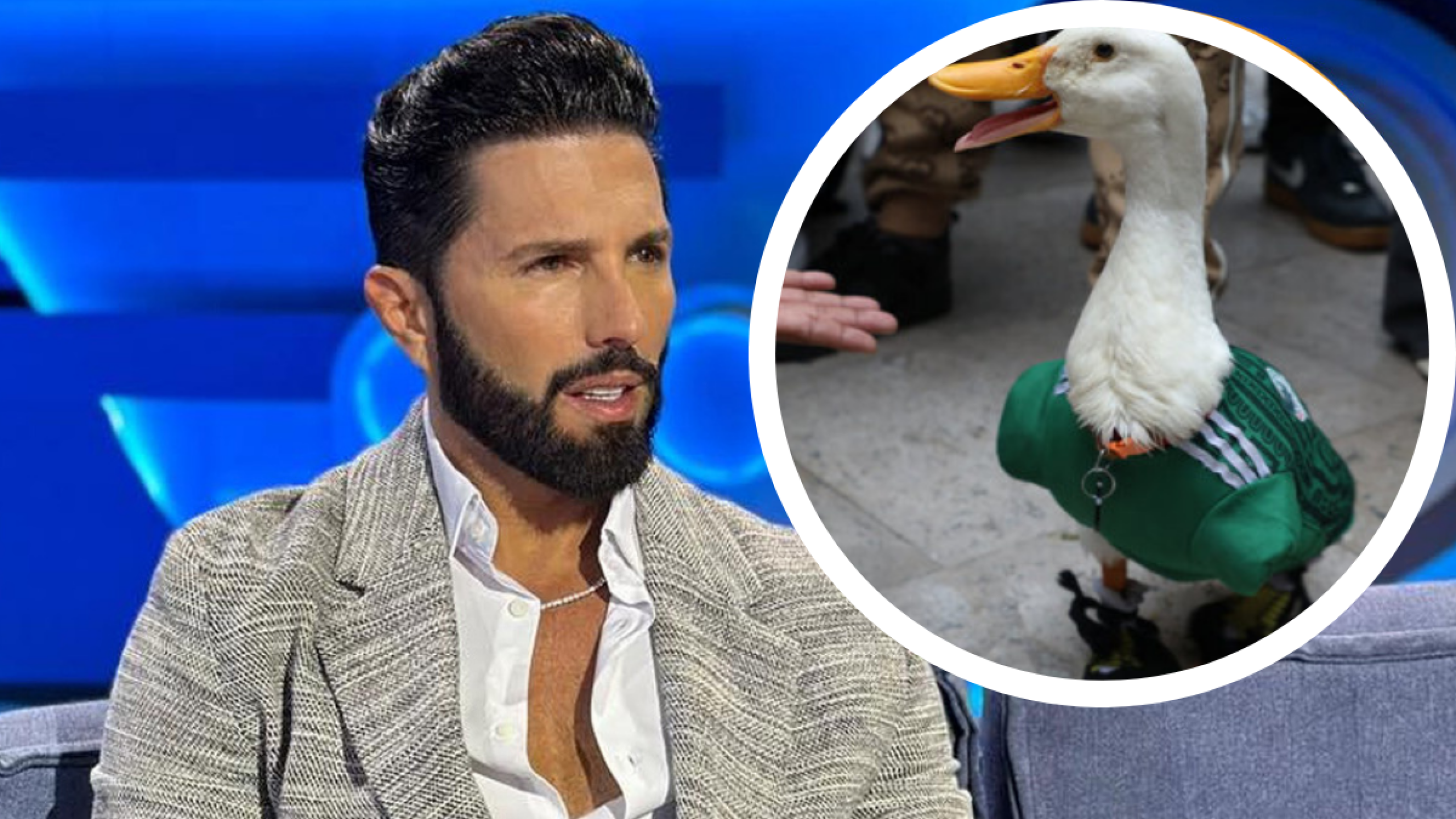 Pato Merlín y Poncho de Nigris