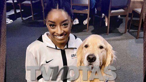 Beacon el golden retriever