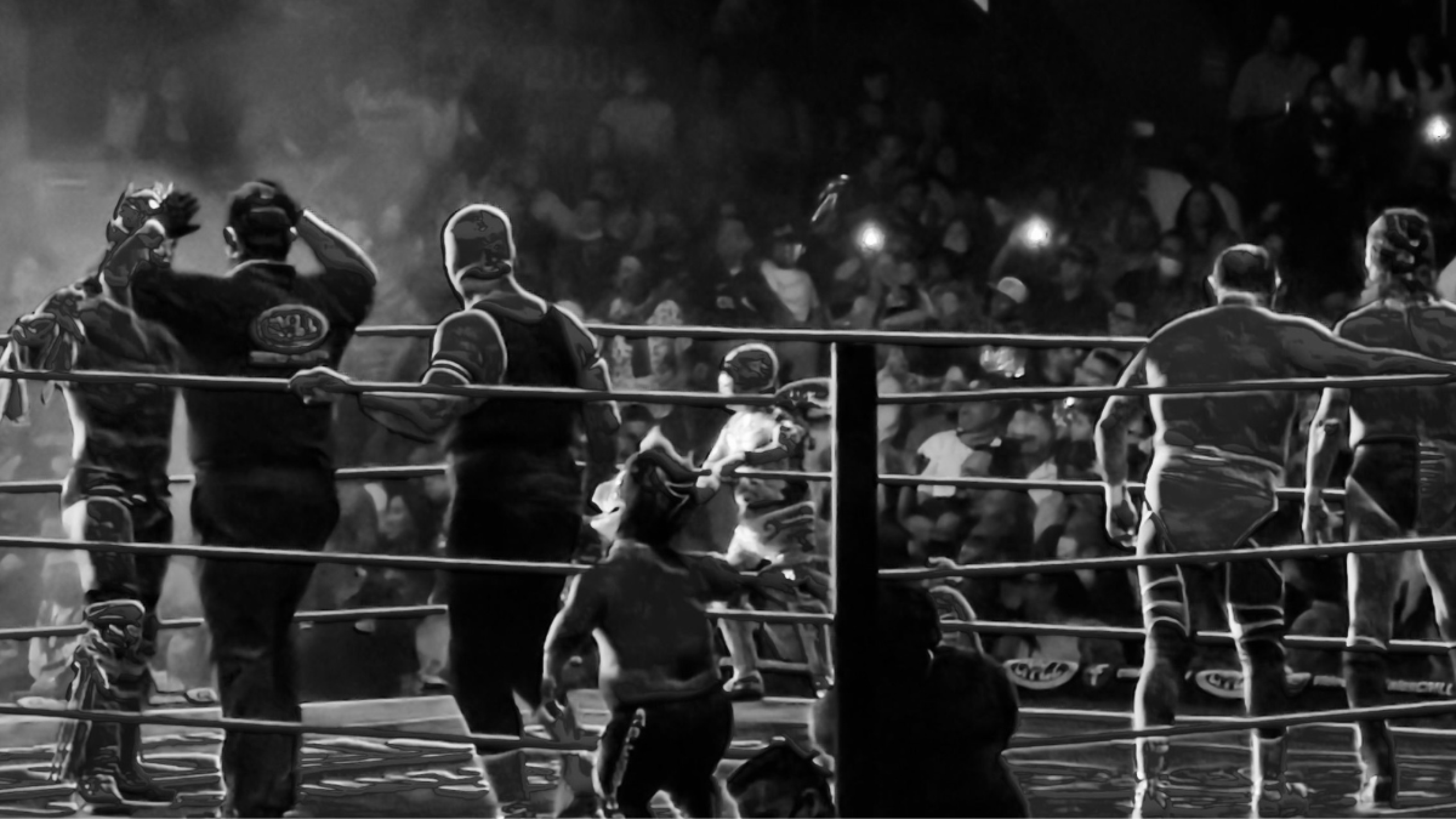 Luchador