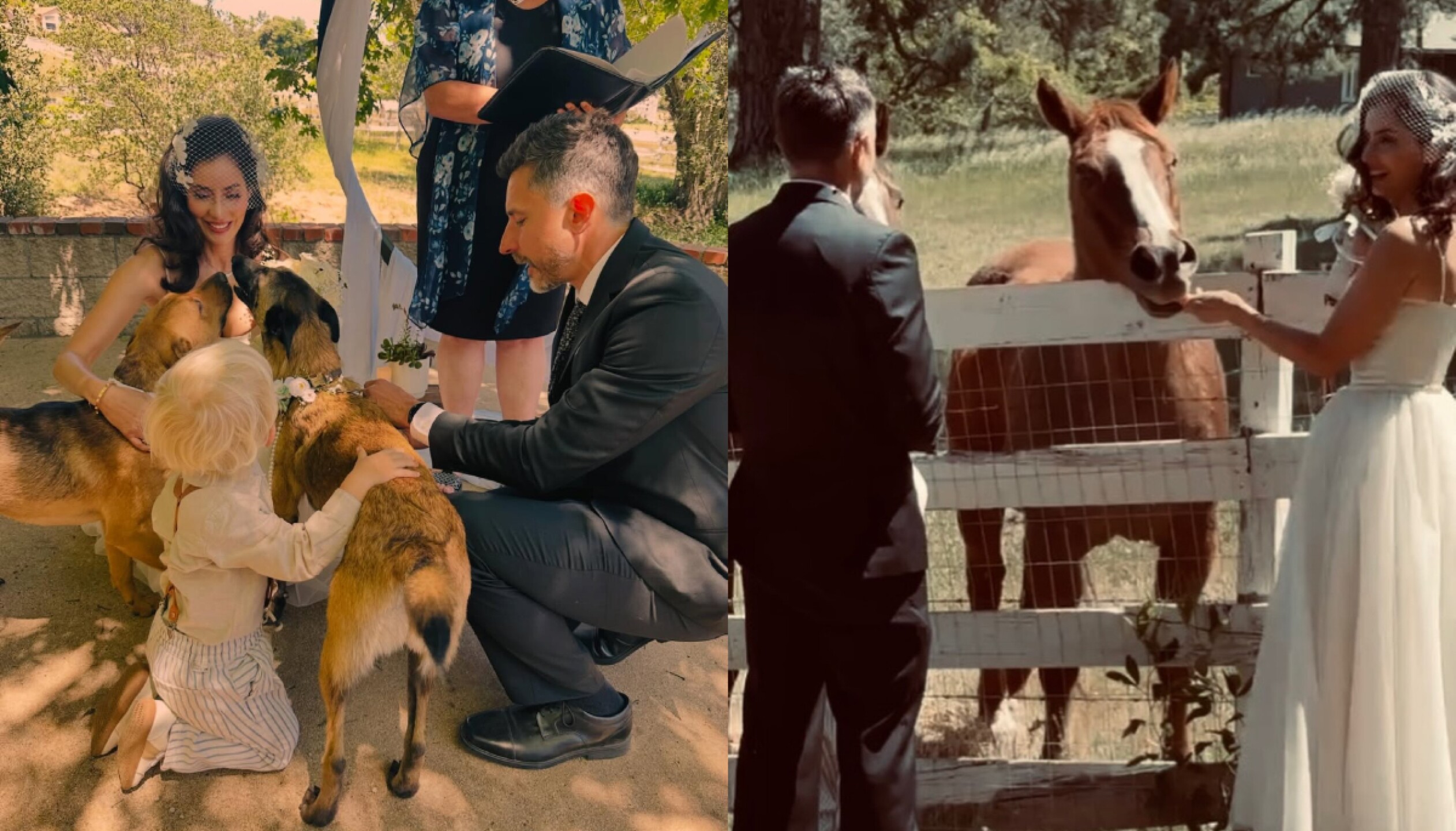 boda-paola-nuñez (1).jpg