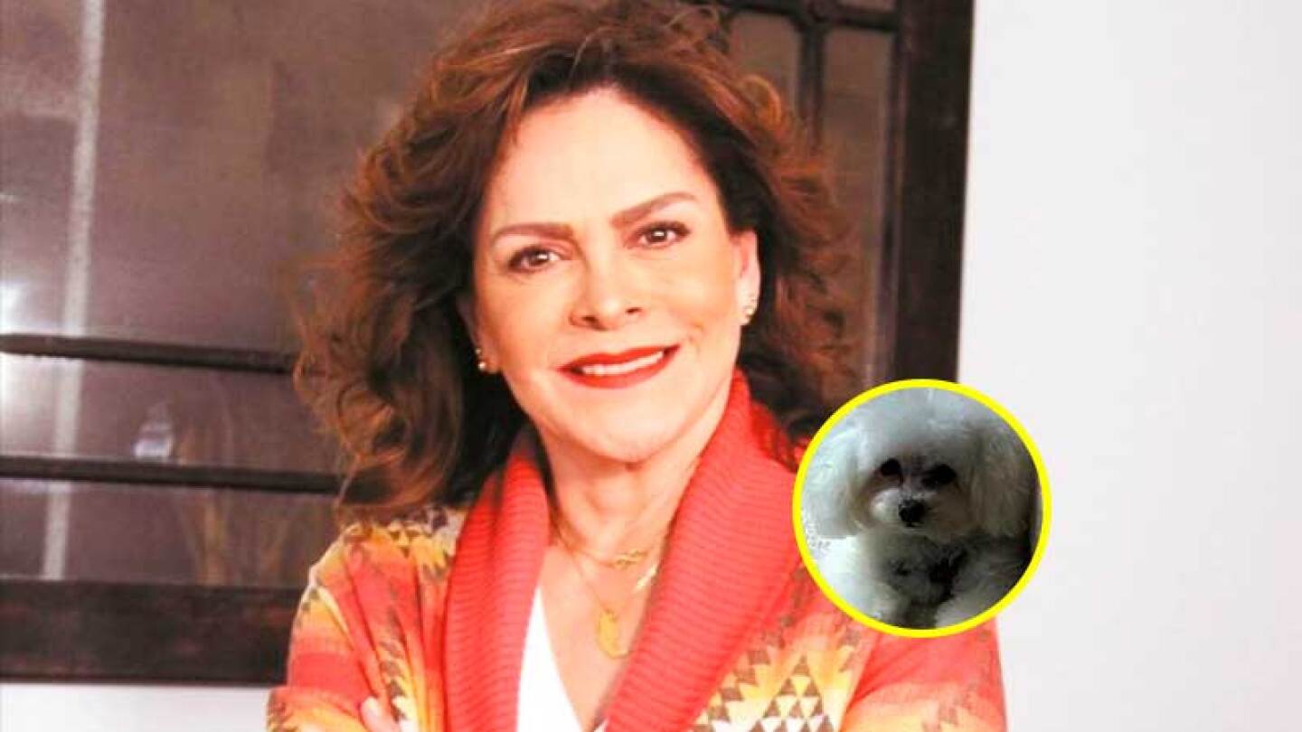 Mara Patricia Castañeda celebra con todo y pastel el cumpleaños 11 de su amada Fresita